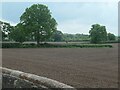 SJ7758 : Bare fields, south of Hassall Green by Christine Johnstone