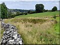 SK2657 : Dry dew pond next to Byeway Lane by Ian Calderwood