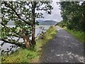 SH6415 : Heading north along the Mawddach Trail by Mat Fascione