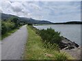 SH6415 : Heading south along the Mawddach Trail by Mat Fascione