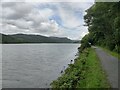 SH6517 : Mawddach Trail at Penrhyn Cregyn by Mat Fascione