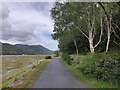 SH6718 : Mawddach Trail along the Abergwynant Woods by Mat Fascione