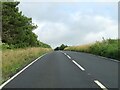 TV5398 : East Dean Road heading towards Eastbourne by Steve Daniels