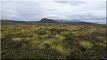  : Summit, Creagan na Moine by Richard Webb