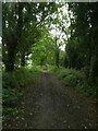 TG1726 : Marriott's Way south of Cat Wood by David Smith