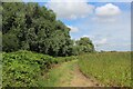 TL5370 : Fen Rivers Way heading North from Upware by Chris Heaton