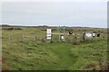 SR9294 : Gate on bridleway, near Elegug Stacks by M J Roscoe