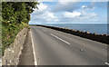 D3313 : The A2 Coast Road near Glenarm by Rossographer