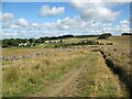 NY3237 : The Cumbria Way near Nether Row by Adrian Taylor