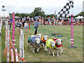 SU3188 : The Lamb National at Uffington White Horse Show by Gareth James