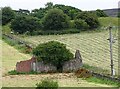 NZ0038 : Ruined building at Stanhope by Robert Graham