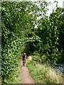 SO8685 : Canal towpath near Stourton in Staffordshire by Roger  D Kidd