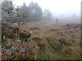 NS5677 : Misty morning, Loch Ardinning by Richard Sutcliffe