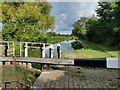 SP6097 : Kilby Bridge Lock along the Grand Union Canal by Mat Fascione