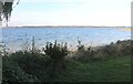 TL1467 : Grafham Water, Perry (set of 2 images) by David Howard