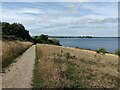 SK9005 : Rutland Water Circular Route towards Gibbet Gorse by Mat Fascione