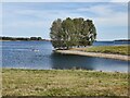 SK9207 : Rutland Water shoreline on the Hambleton Peninsula by Mat Fascione