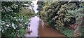 SJ6932 : Looking down Tyrley Locks, from the bridge at the top lock by Christopher Hilton