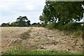 SP9349 : Hardmead: Harvested cereal crop by Michael Garlick