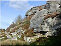 NZ0488 : Rothley Crags by Richard Webb