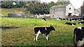 SE0190 : Cows in field and slurry tank at East End Farm by Luke Shaw