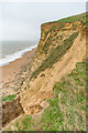 SY4789 : East Cliff by Ian Capper