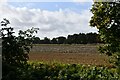 TL9972 : Walsham le Willows: Harvested field by Michael Garlick