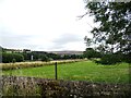 NY9938 : Roadside view from the B6278 at Unthank by Robert Graham