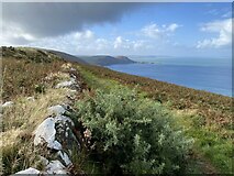  : Field boundary wall on Ceredigion coastal path by Alan Hughes