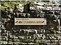 NY3239 : Cumbria Way sign by Adrian Taylor