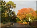 SP4909 : Autumn colour in Wolvercote, near Oxford by Malc McDonald