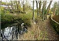 SK3552 : Cromford Canal at Bullbridge by Alan Murray-Rust