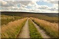 SE1400 : The Trans Pennine Trail at Woodhead Top, Derbyshire by Andrew Tryon