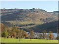 NN6124 : Loch Earn by Dalveich by Richard Webb