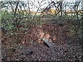 SK4242 : Footbridge over a dry stream bed by Ian Calderwood