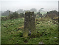 J3383 : Carnmoney Hill Triangulation Pillar by Rossographer