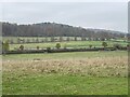 SU7791 : Horse paddocks at Manor Farm, Fingest by Simon Mortimer