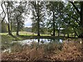 SU7295 : Dew pond, Bald Hill, Lewknor by Simon Mortimer