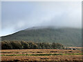 SD7676 : Ingleborough, Park Fell by David Dixon