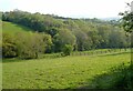 SX8491 : Valley near Clove Farm by Derek Harper