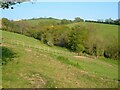 SX8491 : Field near Clove Farm by Derek Harper