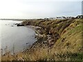 NZ4161 : Coastal cliffs at Whitburn by Robert Graham