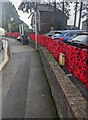 ST3099 : Extensive display of red poppies alongside The Highway, New Inn, Torfaen by Jaggery