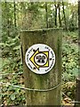 SH6266 : Llwybr Llechi Eryri / Snowdonia Slate Trail waymark disc, Bethesda by Meirion