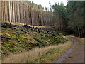 NT2741 : Old and new forest roads, Glentress by Jim Barton