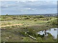 SJ8147 : The Void, Silverdale Country Park by Jonathan Hutchins