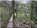 SK0053 : Canopy walkway at Coombes Valley RSPB reserve by Jonathan Hutchins