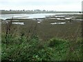 SH4558 : Morfa heli / salt marsh, Y Foryd by Christine Johnstone