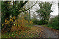 SJ9003 : Pendeford Lane bridleway near Fordhouses in Wolverhampton by Roger  D Kidd