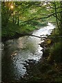 SX8288 : River Teign downstream from Sowton Mill by Derek Harper